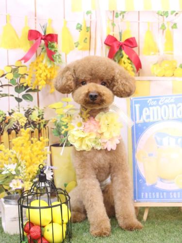 20240428まめくん